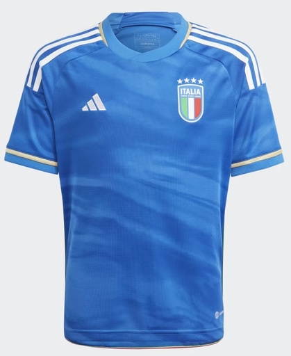 [HS9881] HS9881-FIGC H JSY Y